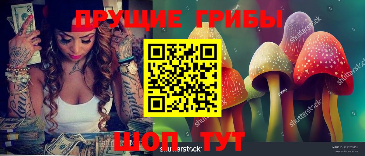 Коммунар  Галлюциногенные грибы MAGIC MUSHROOMS  купить закладку  Вход с VPN 